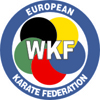 LOGO vektorski EKF 2014 vinjeta 100px